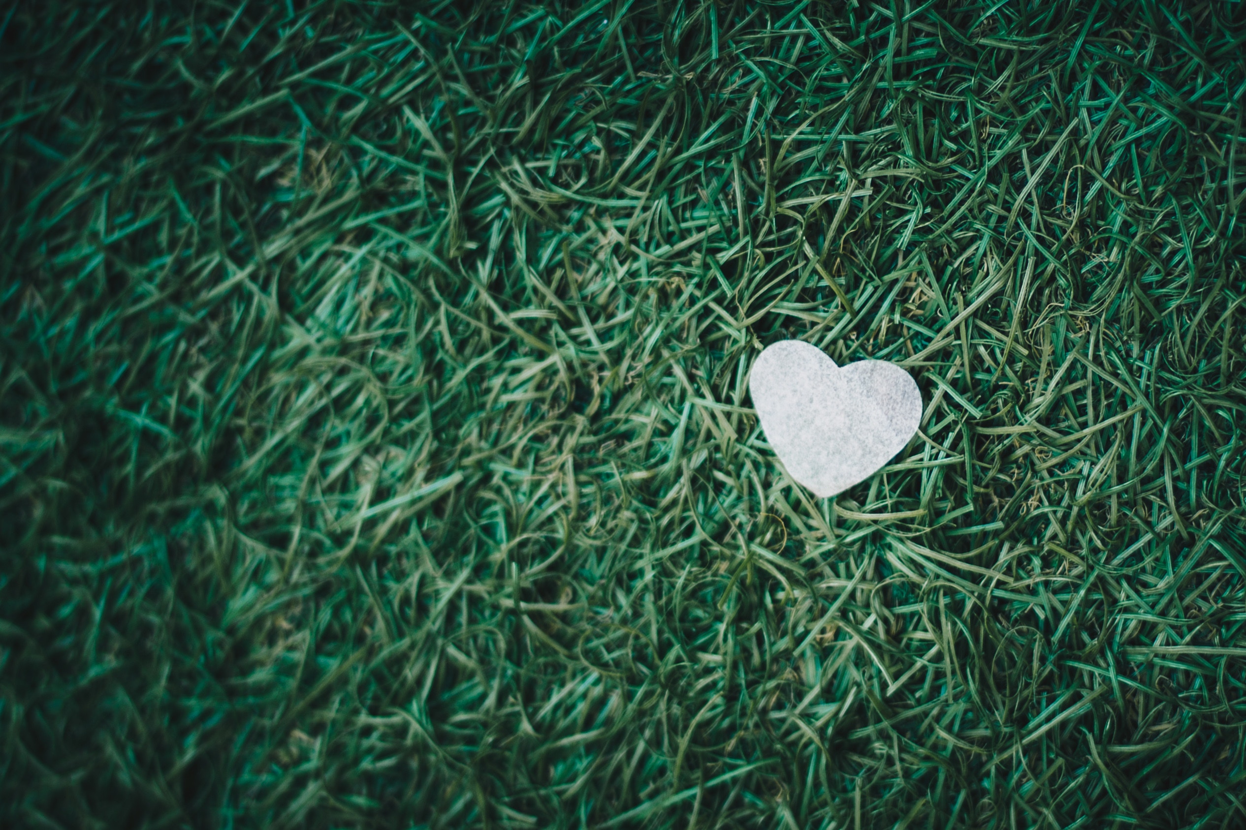 isaac-benhesed-664447-unsplash